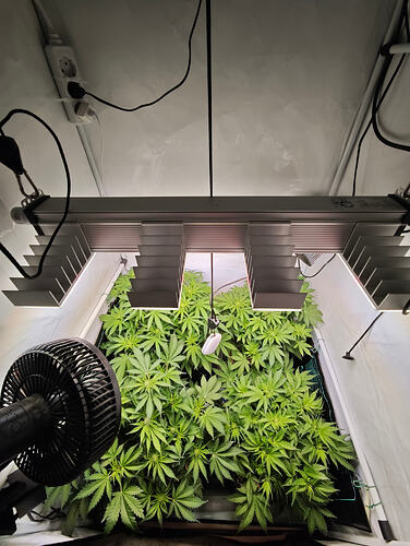Growreport Bild 8