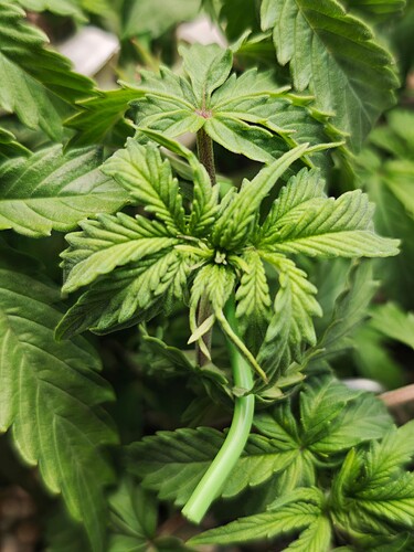 MVIMG_20251009_175500