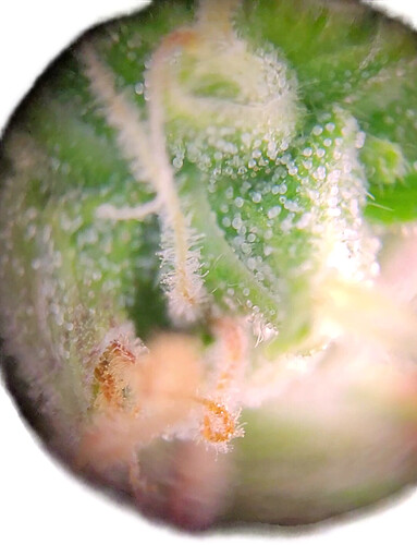 Growreport Bild 22