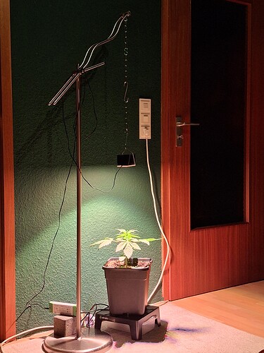 Growreport Bild 1