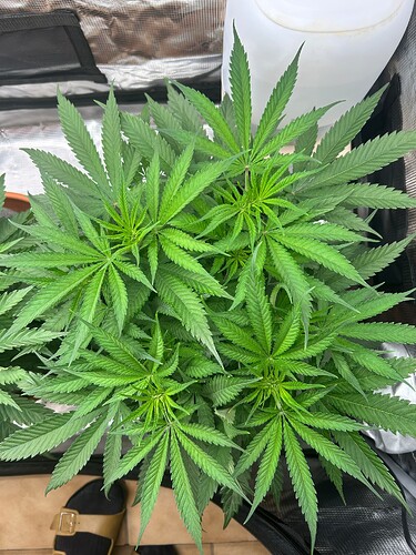 Growreport Bild 12