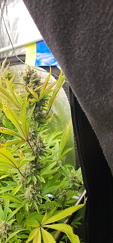 Growreport Bild 42