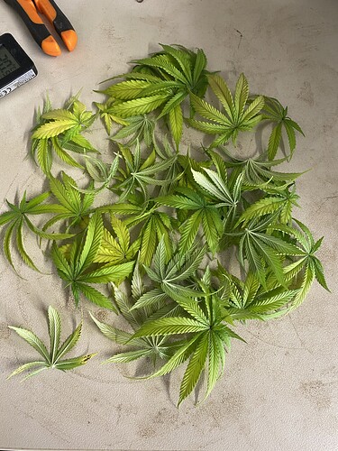 Growreport Bild 24