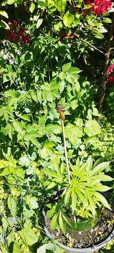 Growreport Bild 16