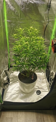 Growreport Bild 3