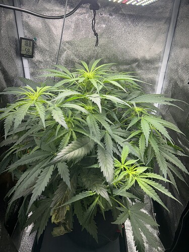 Growreport Bild 5