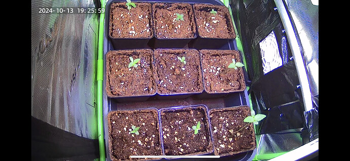 Growreport Bild 5