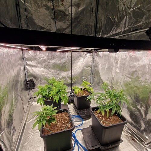 Growreport Bild 6