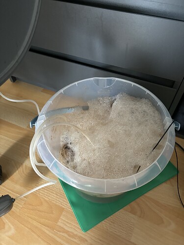 Growreport Bild 66