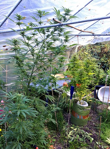 Growreport Bild 11