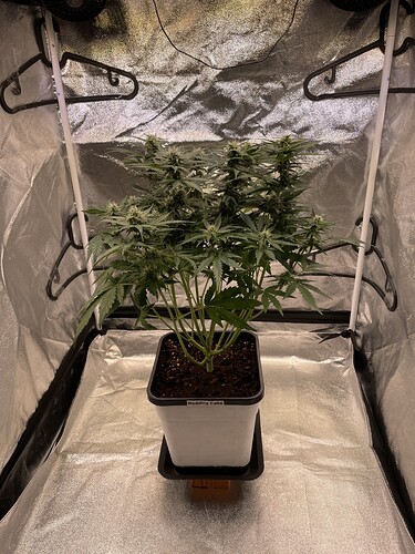 Growreport Bild 9