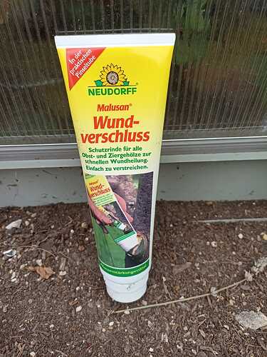 Growreport Bild 4