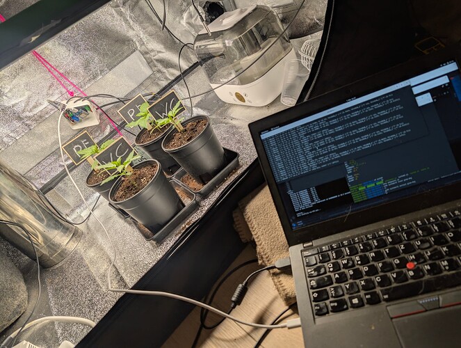 PXL_20250307_005855208.RAW-01.COVER