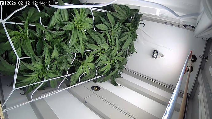 PIC_20260212_121035650