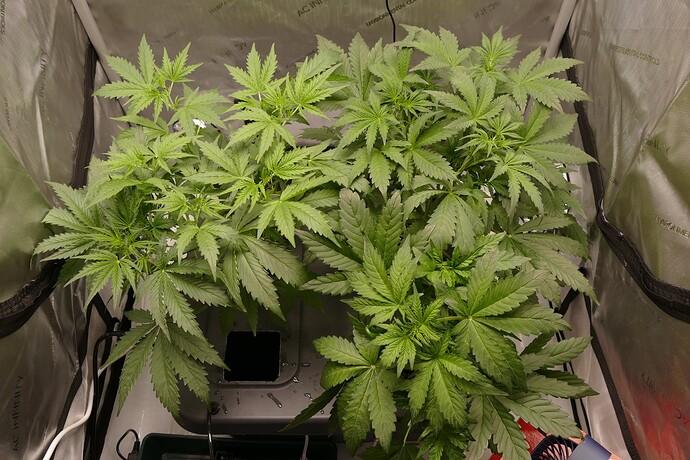 Growreport Bild 6
