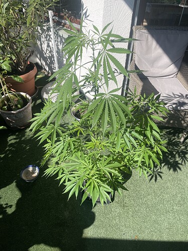 Growreport Bild 11
