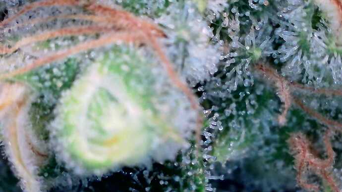 Growreport Bild 19