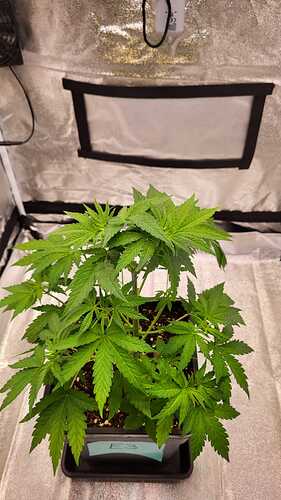 Growreport Bild 12