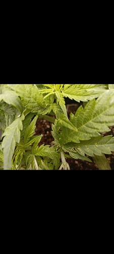 Growreport Bild 13