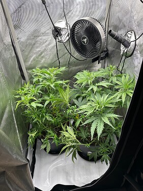 Growreport Bild 25