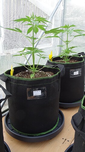 Growreport Bild 11