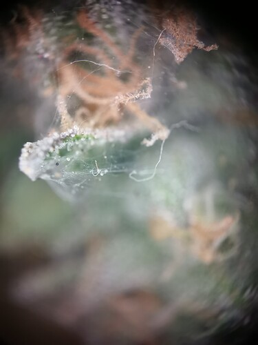 IMG_20250607_150445