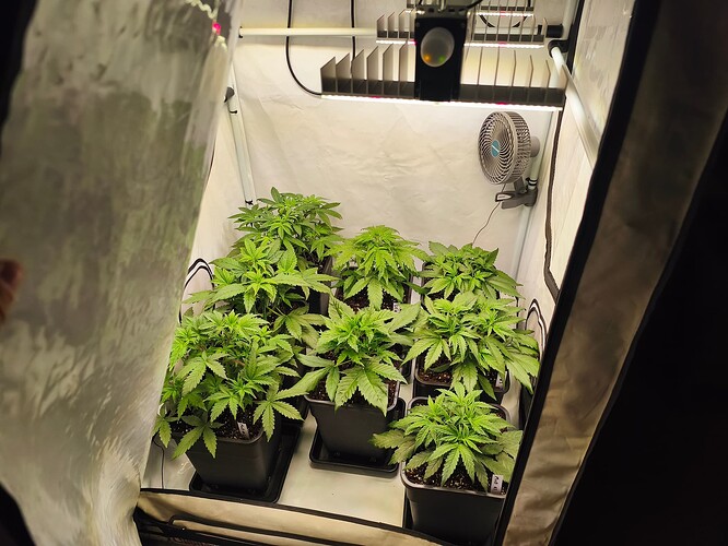Growreport Bild 11