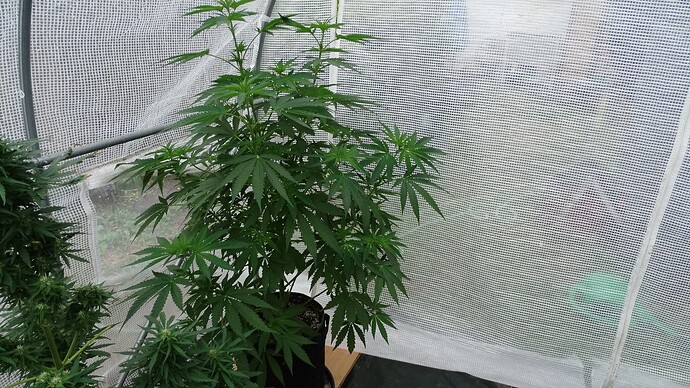 Growreport Bild 21