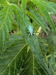 PXL_20250530_074413498.MP