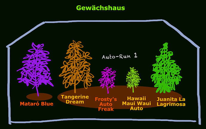 Gewächshaus
