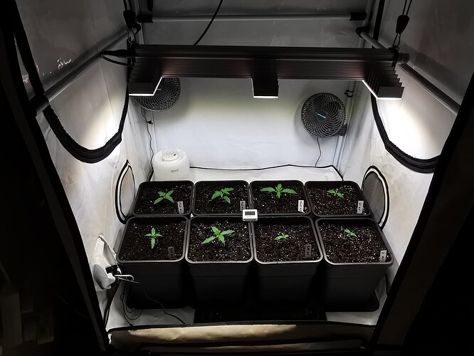 Growreport Bild 11