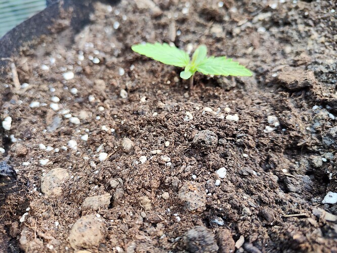 Growreport Bild 4