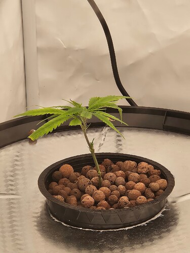 Growreport Bild 15