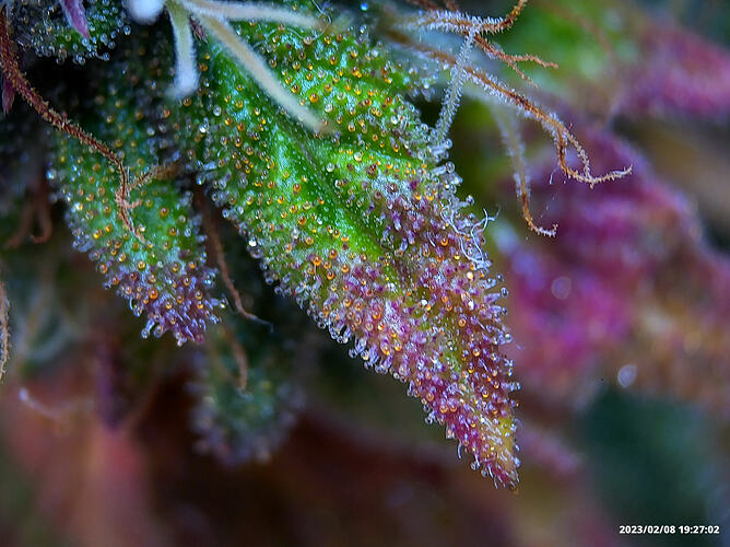 Growreport Bild 17