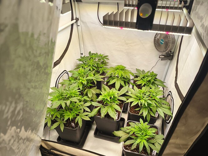 Growreport Bild 9