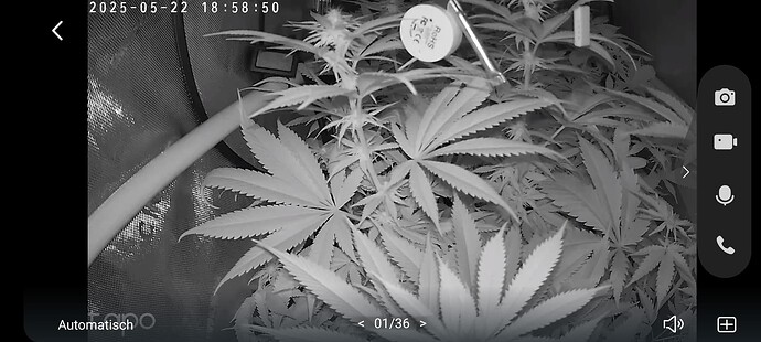 Growreport Bild 3
