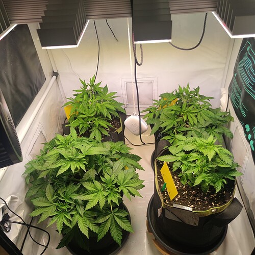 Growreport Bild 8