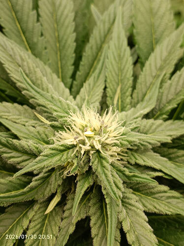 Growreport Bild 26