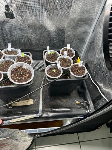 Growreport Bild 20