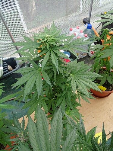 Growreport Bild 16