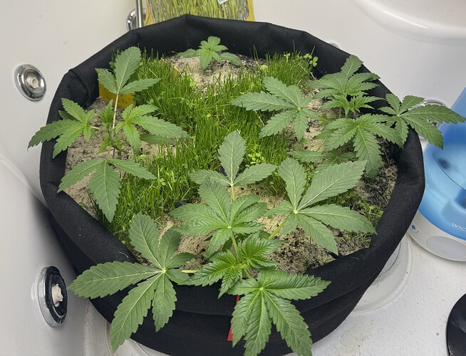 Growreport Bild 11