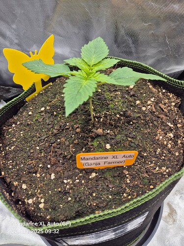 Growreport Bild 1
