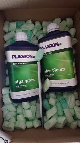 Growreport Bild 11