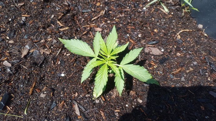 Growreport Bild 4