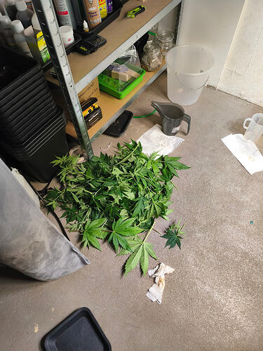 Growreport Bild 6