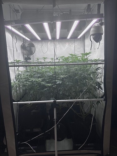 Growreport Bild 3