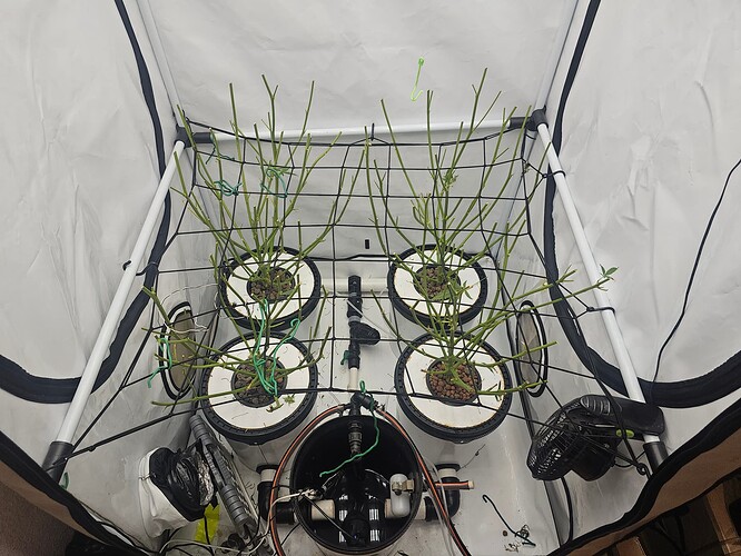 Growreport Bild 17