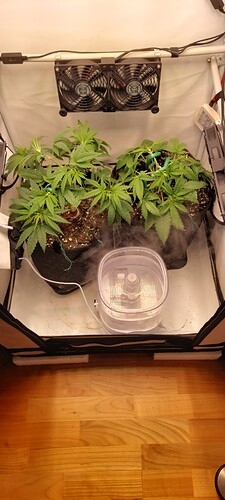 Growreport Bild 4