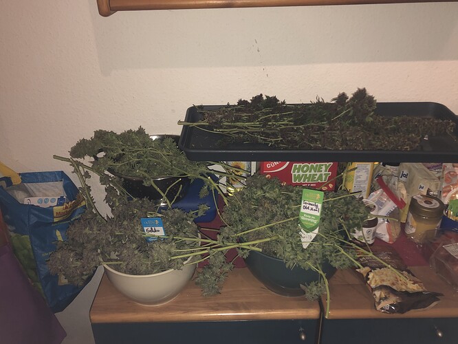 Growreport Bild 13