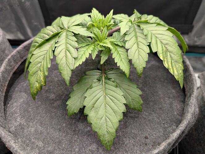 Growreport Bild 4